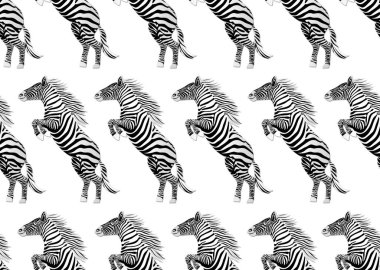 Zebra El Çizimi çizimi. Vahşi Hayvan.