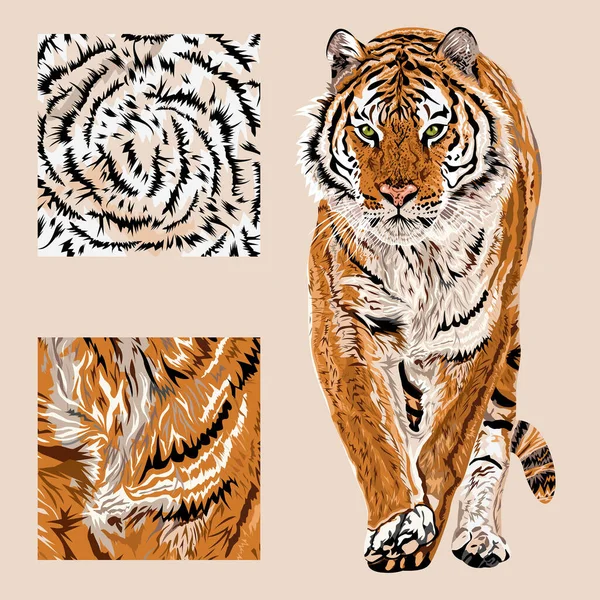 Vector Sketch Walks Bengal Tiger Textile Leo Pattern Animal Print — Stock Vector