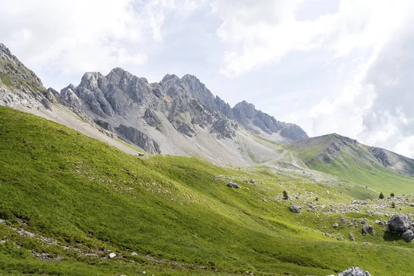 San Pellegrino Geçidi, Moena, Trentino Alto Adige, Alps, Dolomites, İtalya: San Pellegrino Geçidi 'nde (1918 m) manzara. Alplerde yaz manzarası