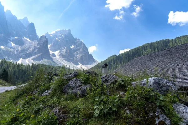 페레 디 산 마르티노 (Pale di San Martino) 는 여름 시즌 동안 파노라마의 풍경이다. Passo Rolle 의 여름 풍경 — 스톡 사진