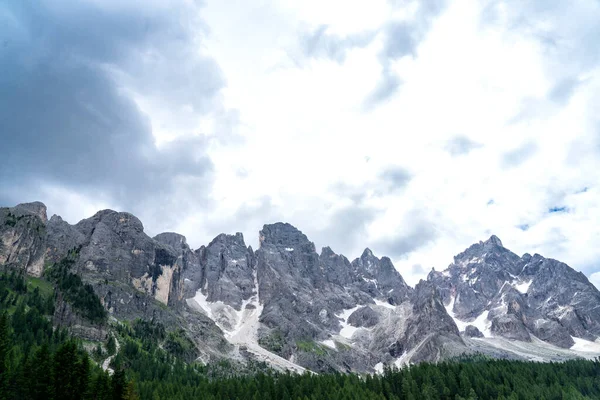 페레 디 산 마르티노 (Pale di San Martino) 는 여름 시즌 동안 파노라마의 풍경이다. Passo Rolle 의 여름 풍경 — 스톡 사진