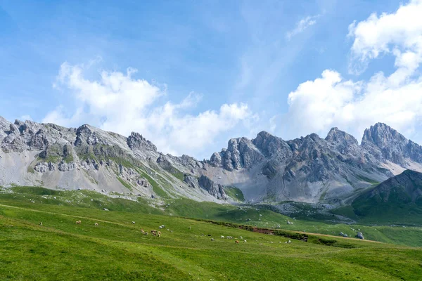 San Pellegrino Pass, Moena, Trentino Alto Adige, Alpen, Dolomieten, Italië: Landschap aan de San Pellegrino Pass 1918 m — Stockfoto