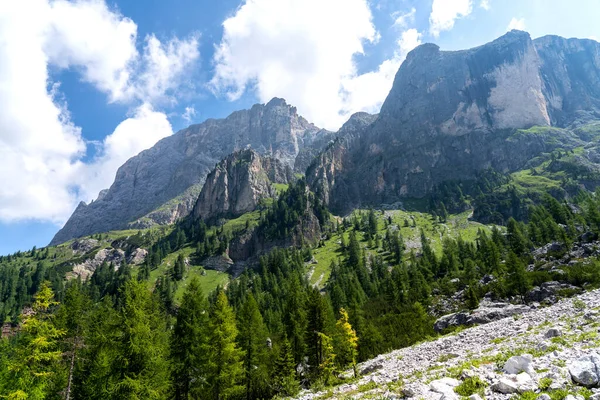 Panorama panoramico delle Pale di San Martino durante la stagione estiva. Passo Rolle paesaggio estivo — Foto Stock