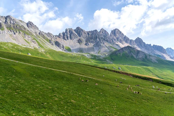 San Pellegrino Pass, Moena, Trentino Alto Adige, Alps, Dolomites, Italy: Landscape at the San Pellegrino Pass 1918 m — стокове фото