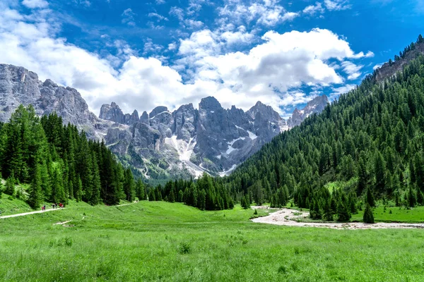 Paysage panoramique de la chaîne Pale di San Martino pendant la saison estivale. Passo Rolle paysage d'été — Photo