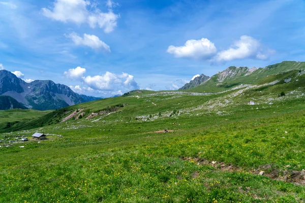 San Pellegrino Pass, Moena, Trentino Alto Adige, Alpen, Dolomieten, Italië: Landschap aan de San Pellegrino Pass 1918 m — Stockfoto