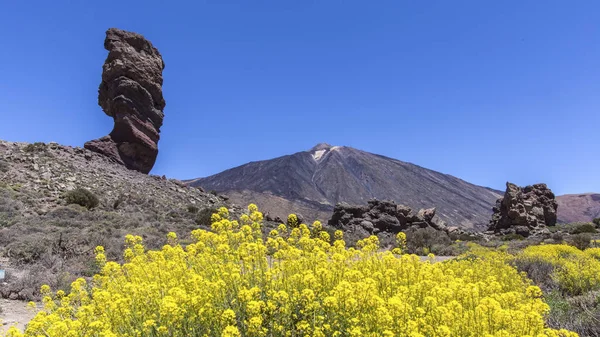 Krásný výhled na unikátní roque cinchado unikátní skalní formace se slavnou sopkou Teide v pozadí za slunečného dne, Teide National Park, Tenerife, Kanárské ostrovy, Španělsko. — Stock fotografie