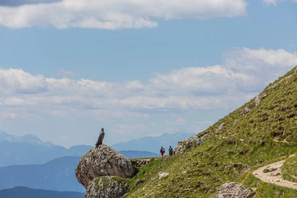 Roda di Vael. Christomannos Monument on the Roda di Vael pathway, Rosegarten Group Trentino, Dolomites, Italy. — Stock Photo, Image