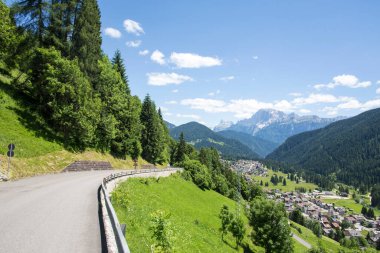 Falcade, Belluno, Veneto, Alpe, Dolomites: Yaz dağları, doğa. Dağlardaki İtalyan şehri. Alplerde yeşil çayırlar ve çiçek açan çiçeklerle donanımlı bir manzara.