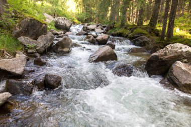 Moena, San Pellegrino Geçidi, Dolomitler, Trentino Alto Adige, yazın Alpler. Alplerdeki dağ nehri. Dağlarda yaz