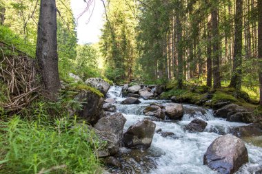 Moena, San Pellegrino Geçidi, Dolomitler, Trentino Alto Adige, yazın Alpler. Alplerdeki dağ nehri. Dağlarda yaz