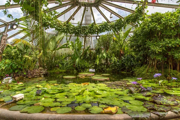 Fransa, Lyon 'da bahçe gezisi ya da Parc de la Tete dOr. Altın Kafa 'nın Tresor adını verdiği bahçe. Lyon, Fransa 'daki Altın Kafa Parkı. Parc de la Tete dOr 'da güzel bir gün.