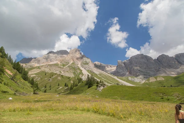Siktiğimin Passo San Pellegrino 'su. San Pellegrino Geçidi, Val di Fassa, Trentino Alto Adige, İtalya. Dolomitlerdeki Passo San Pellegrino yakınlarındaki Fuciade 'in cennet vadisi.