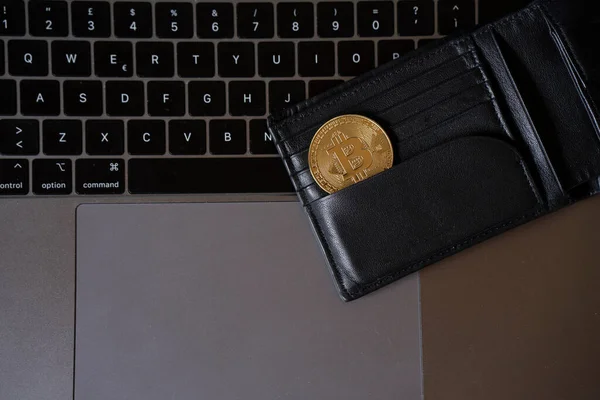Sanal para cüzdanı. Bitcoin altın para. Kripto para birimi konsepti. Bitcoin kripto para birimi. Dünya çapında sanal internet parası. Bitcoin BTC borsa ticaret geçmişi kavramı. iş
