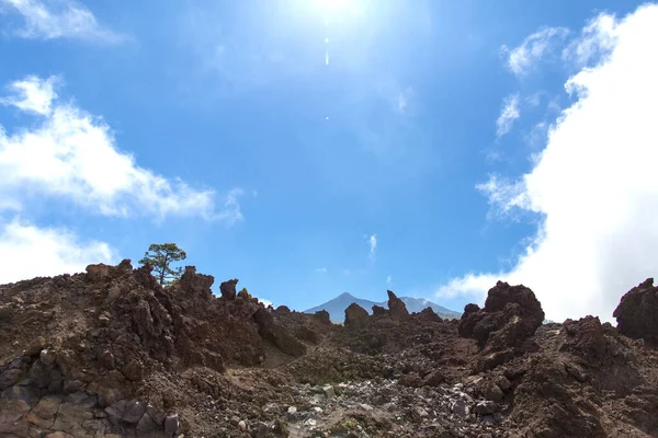 Sivatag Tenerifén. Lunar táj Tenerife nemzeti park.Vulkanikus hegyi táj, Teide Nemzeti Park, Kanári-szigetek, Spanyolország.Túrázás a hegyekben és a sivatagban — Stock Fotó
