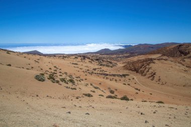 Tenerife 'de çöl. Tenerife Ulusal Parkı 'ndaki ay manzarası. Volkanik dağ manzarası, Teide Ulusal Parkı, Kanarya Adaları, İspanya. Dağlarda ve çölde yürüyüş.