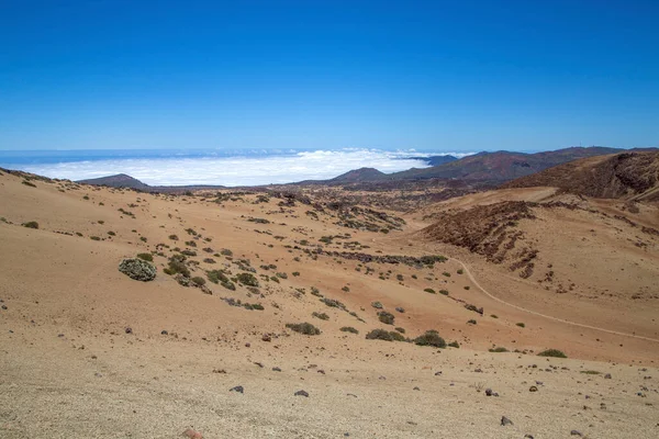 Tenerife 'de çöl. Tenerife Ulusal Parkı 'ndaki ay manzarası. Volkanik dağ manzarası, Teide Ulusal Parkı, Kanarya Adaları, İspanya. Dağlarda ve çölde yürüyüş.