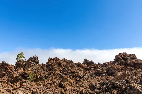 Wüste auf Teneriffa. Mondlandschaft im Nationalpark Teneriffa. Vulkanische Berglandschaft, Teide-Nationalpark, Kanarische Inseln, Spanien. Wandern in den Bergen und der Wüste — Stockfoto