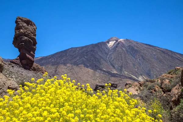스페인 카나리아 제도의 테네리페에 있는 타이데 화산지대 국립 공원의 정상인 로크에 르하도 와 정상이다. 테이데 화산 — 스톡 사진