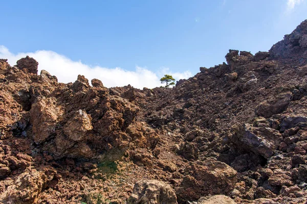 Desert in Tenerife. Lunar landscape in Tenerife national park.Volcanic mountain scenery, Teide National Park, Canary islands, Spain.Hiking in the mountains and desert — Stock Photo, Image