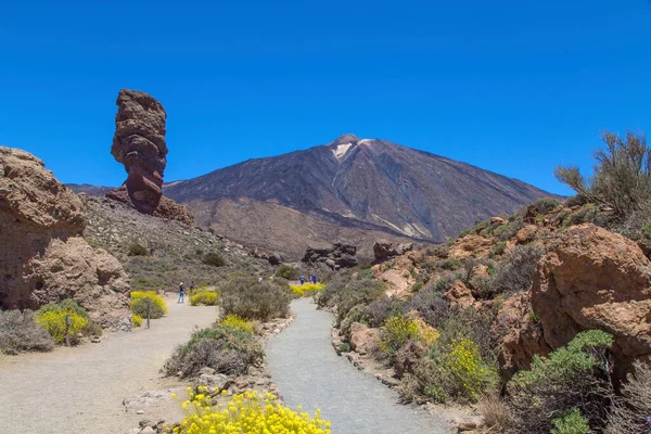 Wulkan Teide na Teneryfie. W Hiszpanii. Wyspy Kanaryjskie. Teide jest główną atrakcją Teneryfy. Sam wulkan i otaczający go obszar tworzą Park Narodowy Teide... — Zdjęcie stockowe