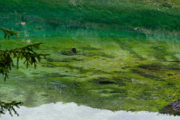 白云岩群山的风景秀丽的山峰，映衬着被针叶林环绕的晶莹的池塘。意大利的Caresse湖。风景区和著名的旅游胜地.A.原始性质 — 图库照片