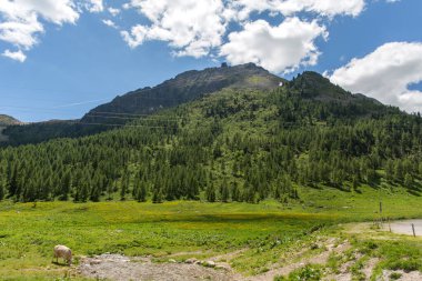 San Pellegrino Geçidi, Moena, Trentino Alto Adige, Alps, Dolomites, İtalya: 1918 San Pellegrino Geçidi manzarası. Alplerde yaz manzarası.