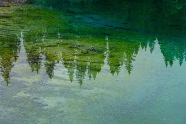 白云岩群山的风景秀丽的山峰，映衬着被针叶林环绕的晶莹的池塘。意大利的Caresse湖。风景区和著名的旅游胜地.A.原始性质 — 图库照片