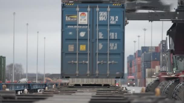 Nakliye Konteynırlarını Bir Demiryolu Kargo Terminaline Boşaltmak Yükleyicilerin Işlerinin Zamanlaması — Stok video