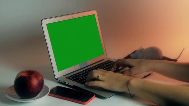 Close Van Vrouwelijke Handen Met Armbanden Typen Laptop Toetsenbord Vrouwen — Stockvideo