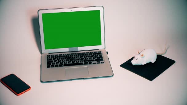 白いおもちゃのRcマウスはノートパソコンのマウスのふりをします マウスはラップトップ上でクロールします — ストック動画
