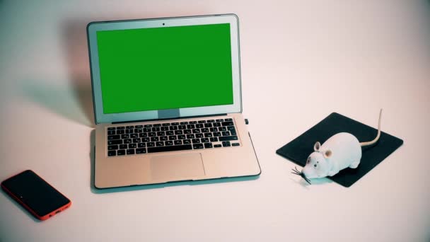 一个白色玩具Rc鼠标假装是一个笔记本电脑鼠标 鼠标爬到笔记本电脑上 — 图库视频影像