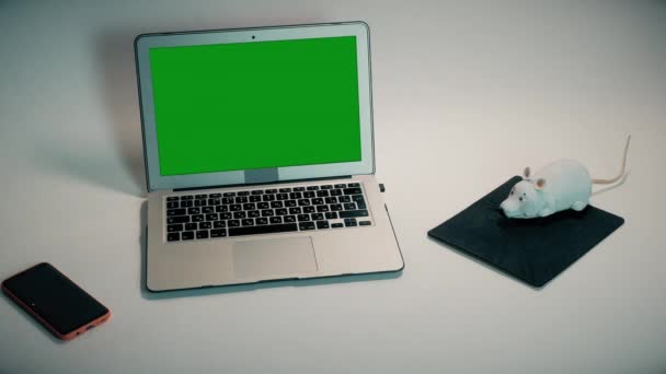 一个白色玩具Rc鼠标假装是一个笔记本电脑鼠标 鼠标爬到笔记本电脑上 — 图库视频影像