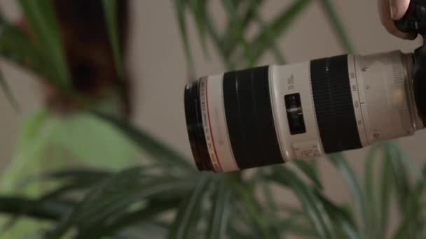 Le photographe prend des photos avec un grand objectif sur un fond de plantes vertes . — Video