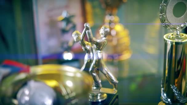 Reisen auf dem Schieberegler eine große Anzahl von Medaillen, Auszeichnungen. Pokale für Leistungen. — Stockvideo