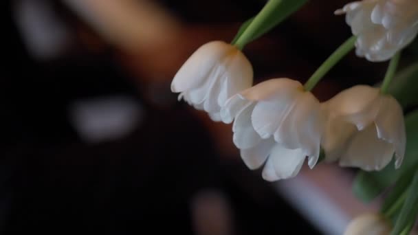 O pianista toca uma música lenta. Em primeiro plano, tulipas brancas, flores em foco . — Vídeo de Stock