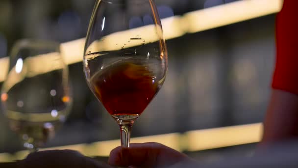 Rollende Roterende Rode Wijn Een Bordeaux Glas Dit Wordt Gedaan — Stockvideo