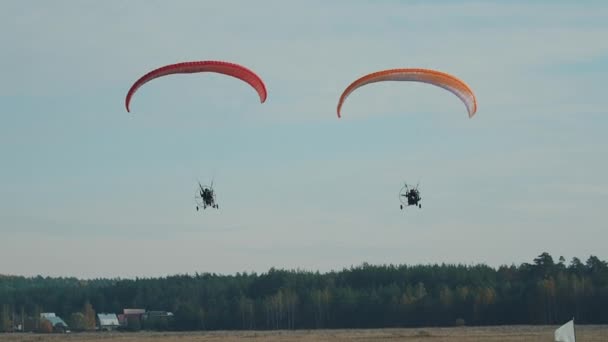 Twee Paratroepen Vliegen Een Herfstveld Naar Camera Een Heldere Zonnige — Stockvideo