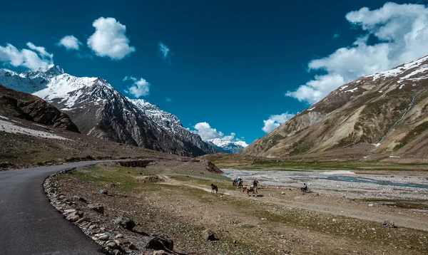 Viaje Moto Leh Ladagh Camino Más Alto Del Mundo India —  Fotos de Stock