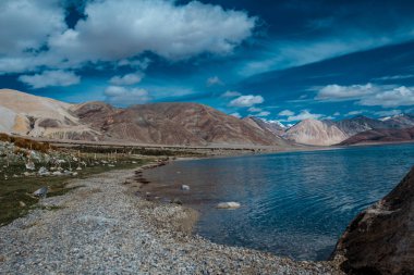 Leh 'ten Ladakh' a yaptığım moto gezisi. Dünyanın en yüksek yolu. Hindistan, Himalayalar