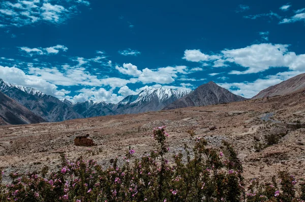 Minha Viagem Moto Leh Ladakh Estrada Mais Alta Mundo Índia — Fotografia de Stock