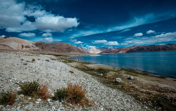 Moto Trip Leh Ladakh Highest Road World India Himalayas — Stock Photo, Image