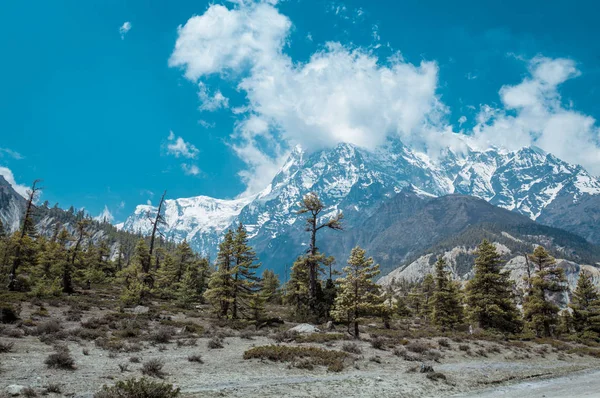 Annapurna Circuit Trek Nepali Himalayas — Stock Photo, Image