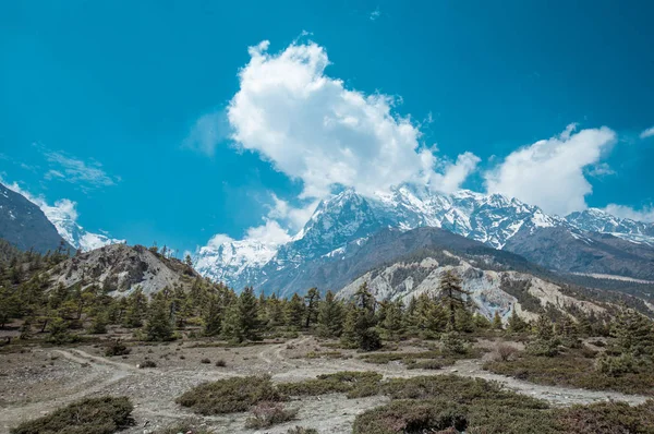 Annapurna Circuit Trek Nepali Himalayas — Stock Photo, Image