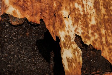 Dışarıdaki Paslı Elektrik Dolabı