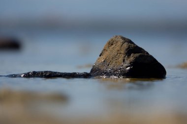 Sahilde taş, günbatımı çekimi