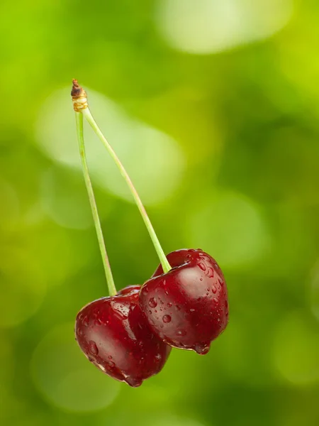 Cerises fraîches Image En Vente