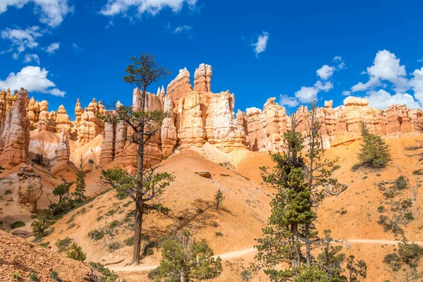 Bryce Canyon National Park Utah Usa — Stock Photo, Image