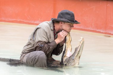 Everglades, Florida, Amerika Birleşik Devletleri - 8 Aralık 2016: Timsah Florida Everglades Park 8 Aralık 2016 üzerinde göster.