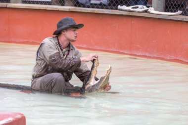Everglades, Florida, Amerika Birleşik Devletleri - 8 Aralık 2016: Timsah Florida Everglades Park 8 Aralık 2016 üzerinde göster.